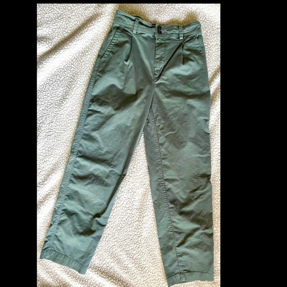 Everlane Pleated Chinos